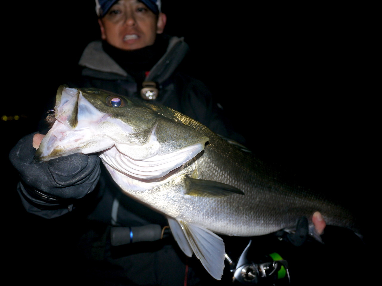 �����Х���