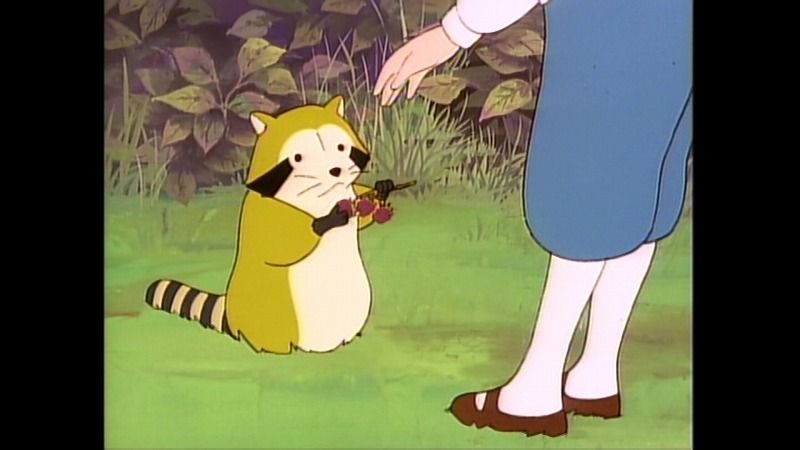 格安即決 あらいぐまラスカル 品 待望の再入荷 Ieem In