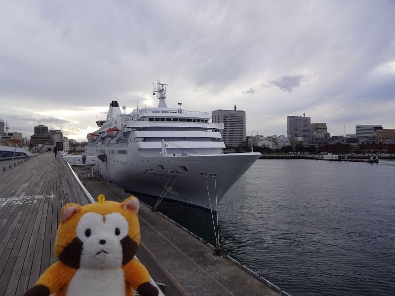 ぱしふぃっくびいなす 横浜クリスマスクルーズ ラスカルに会いたい ぱしふぃっくびいなす 横浜クリスマスクルーズ ラスカルに会いたい