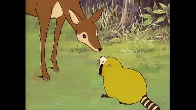 格安即決 あらいぐまラスカル 品 待望の再入荷 Ieem In