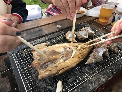 ほっけ