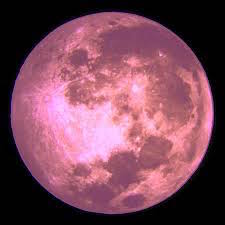 pinkmoon