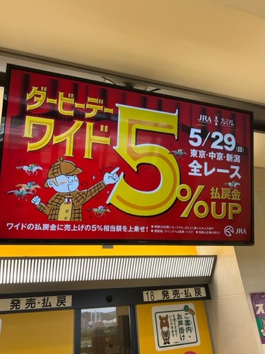 ワイド