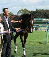 ¥Õ¥ê¡¼¥À¥à¥Þ¡¼¥Á