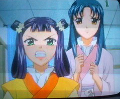 彩雲国物語 花は折りたし梢は高し An Another