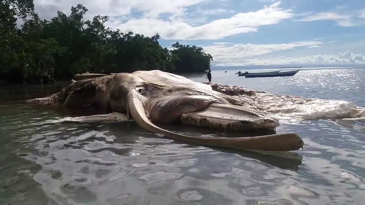 no title