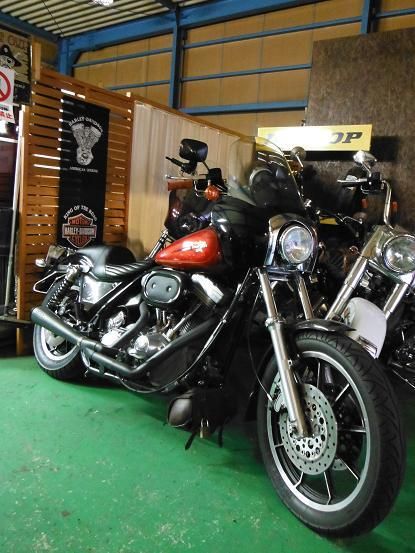 ４月１１日（火）