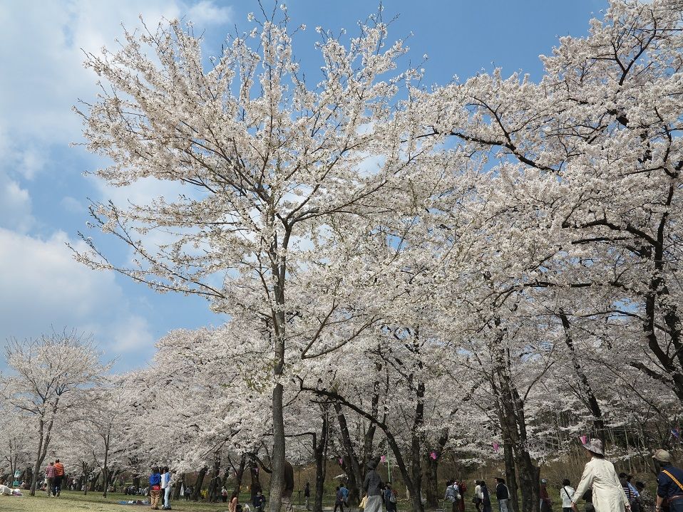 ４月１９日土曜日