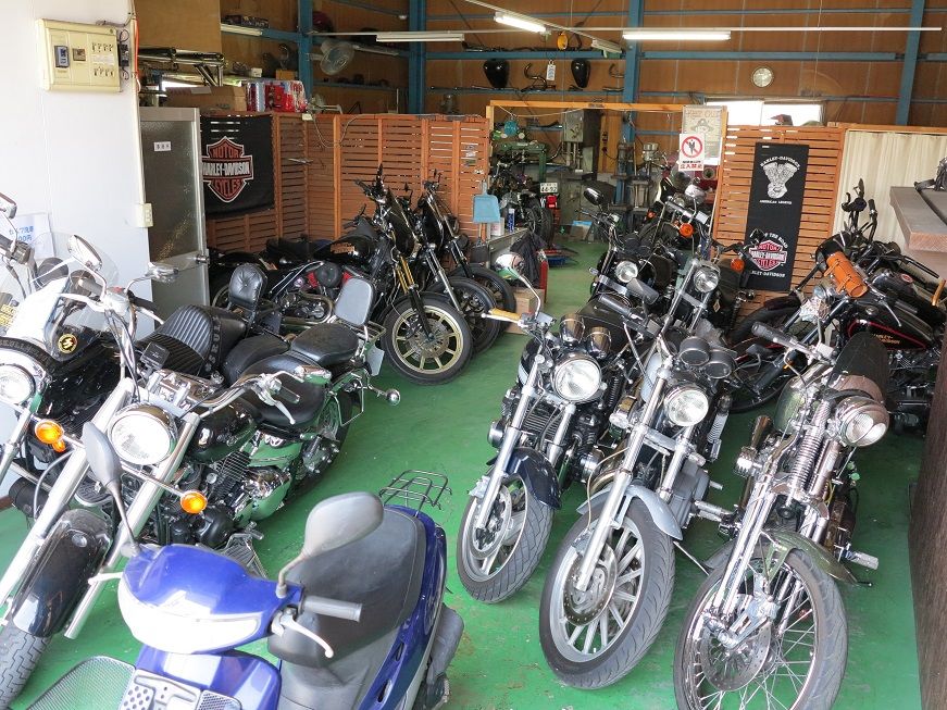 ４月１１日金曜日