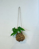 BD62C03F-ACCB-4E57-9DDC-0E7B4D0E2909