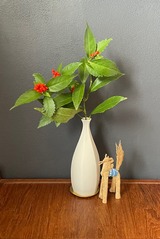 IMG_5587