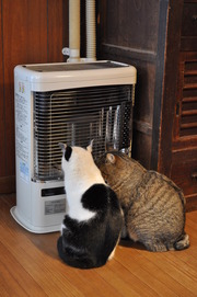 2014_1228_104320-DSC_1626