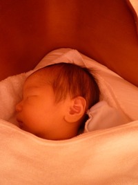 2012_0517_084540-23すやすや圧縮