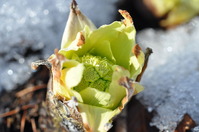 2014_0323_154314-DSC_0737