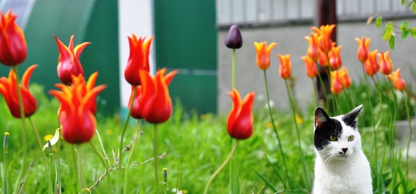 2014_0522_160945-DSC_1007