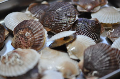 2014_0212_170314-DSC_0679