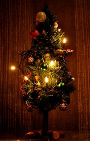 2014_1223_211605-DSC_1621