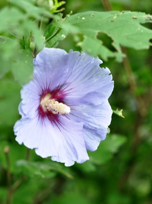 2014_0813_112813-DSC_1429