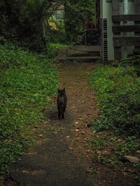 22405581_1837339626348709_9159825016172165002_n[1]