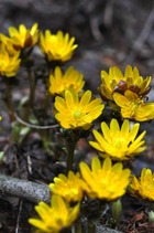 2015_0329_112444-DSC_1870-圧縮