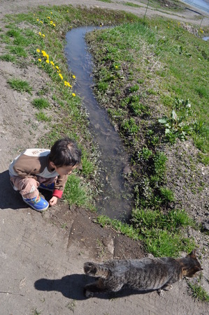 2014_0511_102231-DSC_0945