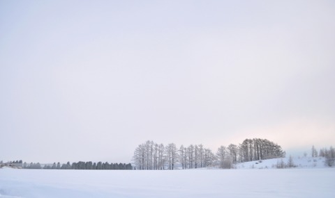 DSC_2802ー加工圧縮