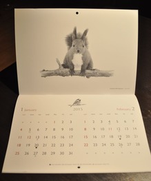 2014_1030_213950-DSC_1639