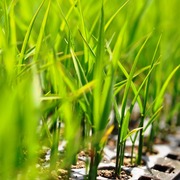 2014_0511_111646-DSC_0961