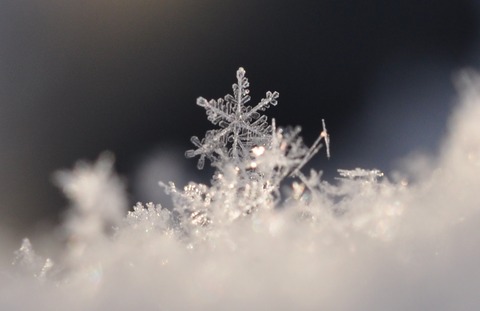 2014_0211_074440-DSC_0672-拡大