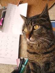 2012_0324_082511-P1000117