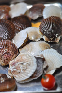 2014_0212_170517-DSC_0682