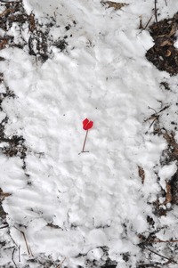 2014_1228_134734-DSC_1631