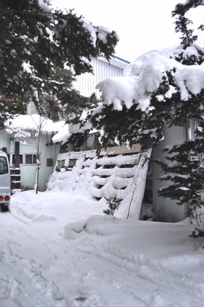 2015_0112_154237-DSC_1641