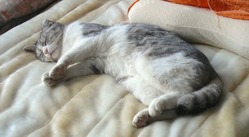 2006_1231_083227-P1000078-2