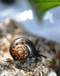 2014_0922_102218-DSC_1570