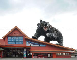 2014_1126_105513-DSC_1650