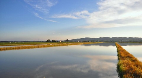 DSC_1875-圧縮
