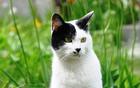 2014_0522_160945-DSC_1007