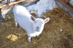 2014_0323_152957-DSC_0734