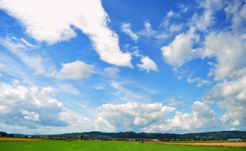 DSC_2259-加工-圧縮