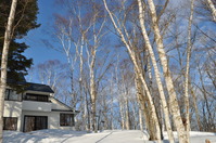 2014_0323_155107-DSC_0740