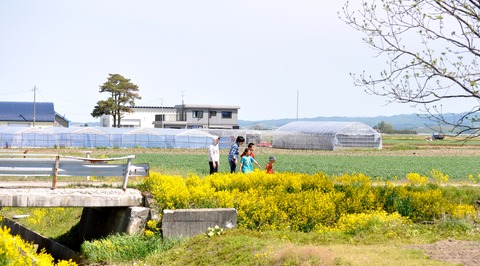DSC_2990-ブログ