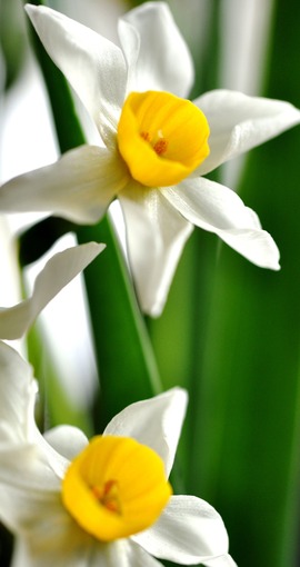 2014_0125_095625-DSC_0589