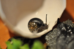 2014_1015_101459-DSC_1651