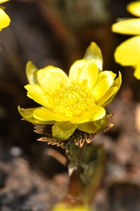 2014_0327_123406-DSC_0752-2