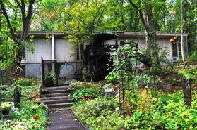 1桜井さん黒い森美術館
