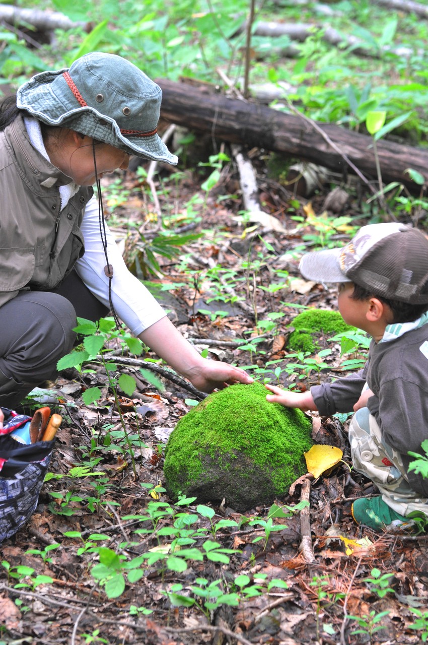 July 15 由仁町 工房ワタリガラス 日々のあれこれ