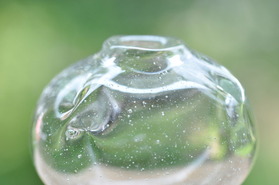 2014_0729_110635-DSC_1315