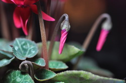 2014_1223_205831-DSC_1612