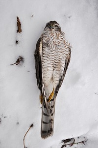 2014_1228_134210-DSC_1629